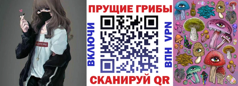 Купить закладки  Павловск  Псилоцибиновые грибы мицелий 